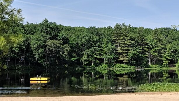 A sandy beach area with a calm lake, surrounded by dense forest.