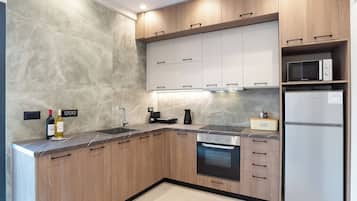 Fridge, oven, stovetop, cookware/dishes/utensils