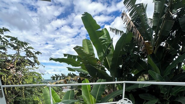 Un balcón con sillas y una mesa de metal blanco, rodeado de exuberante vegetación y vistas de la ciudad.