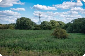 Miscellaneous - Modern Townhouse in Peterborough (Peterborough)