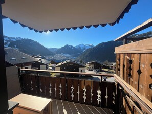 Property grounds - South-facing 3-room apartment for 6 people (Châtel)