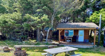 Rustic Ocean Front Tiny Cabin in the quiet farming town of Haida Gwaii