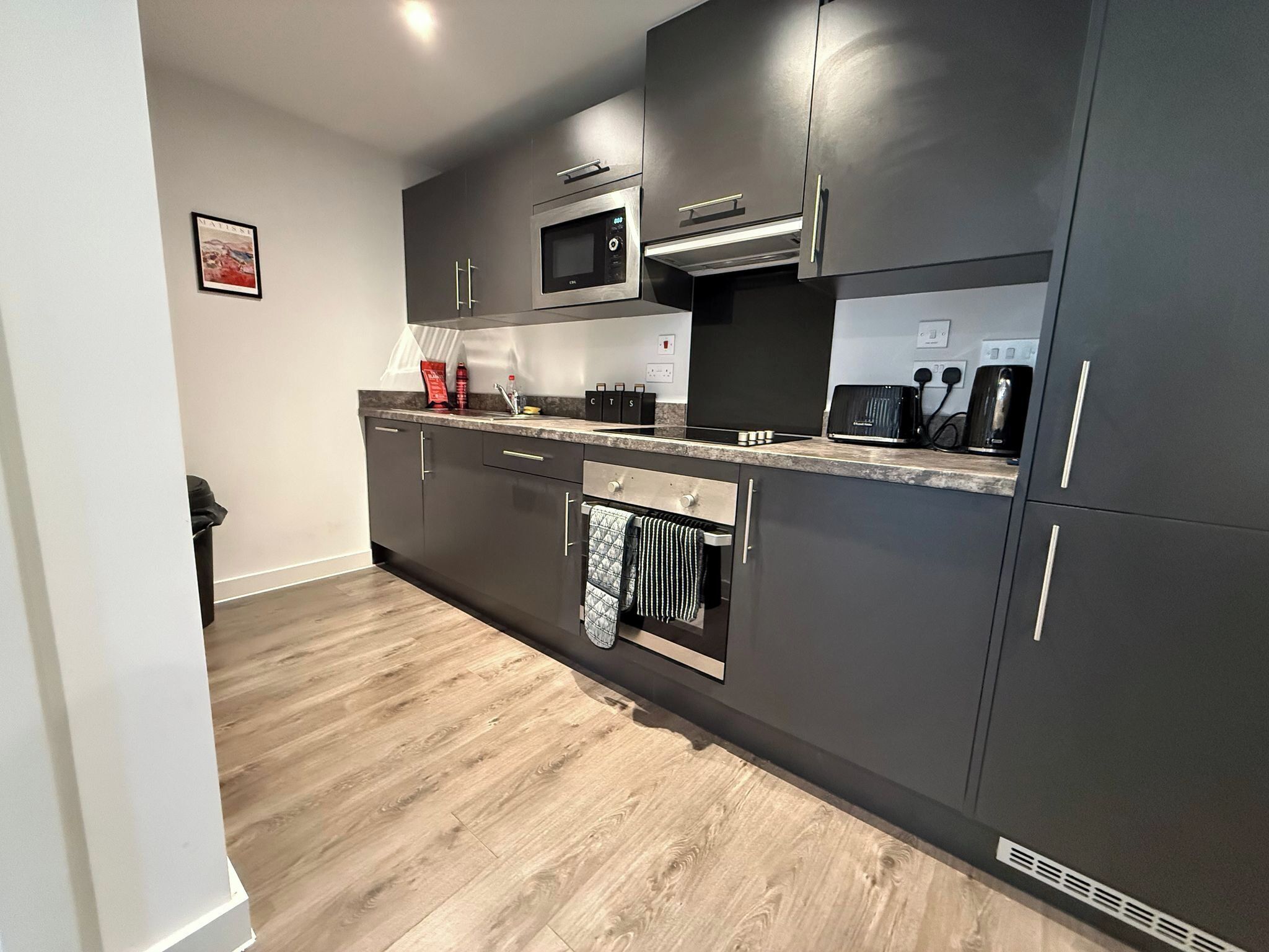 Frigorífico, microondas, horno y placa de cocina