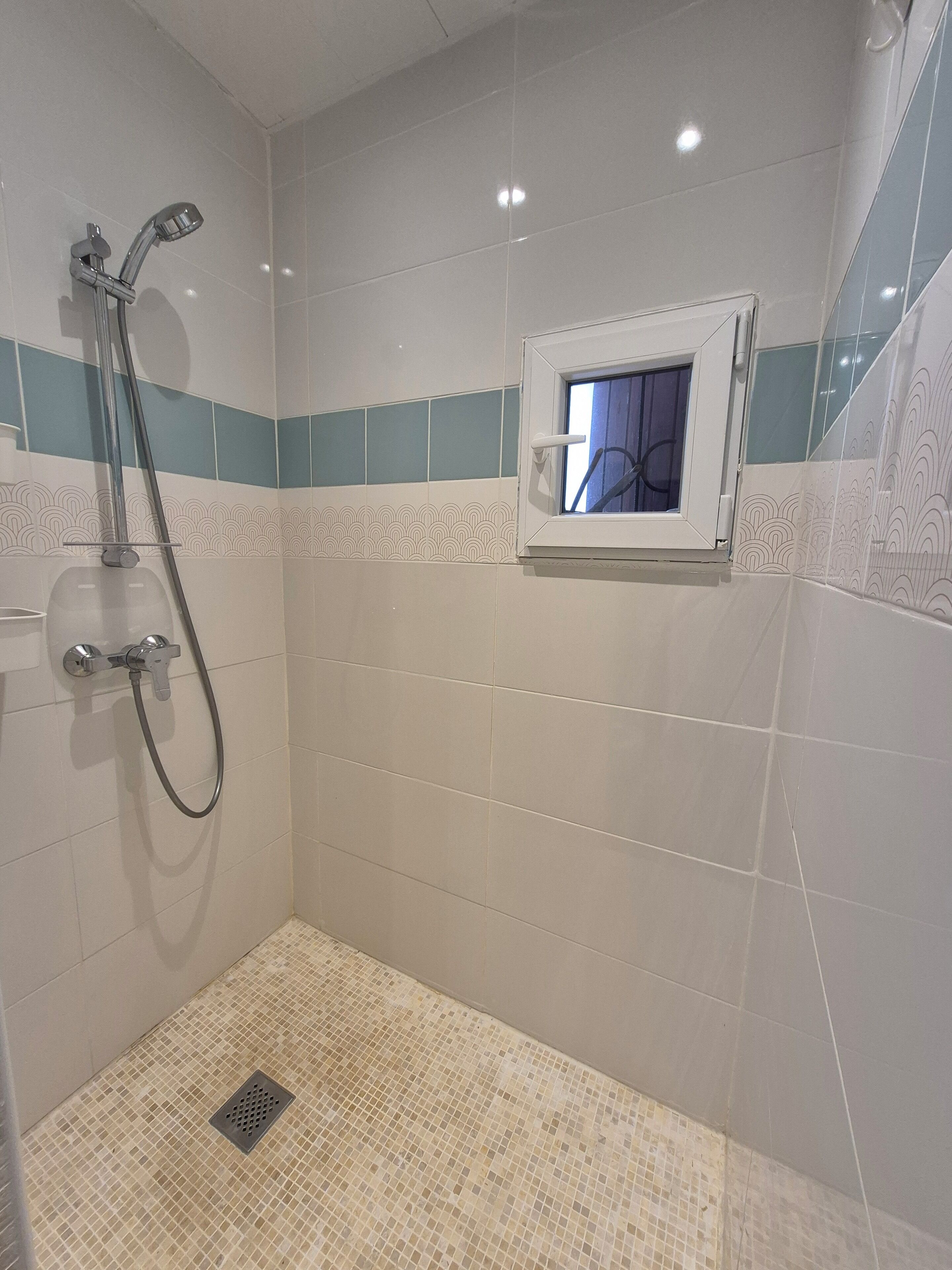 Regadera, secadora de cabello, toallas, jabón 