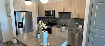 Cozy 1 bedroom apartment with nice Gym & Pool Dallas