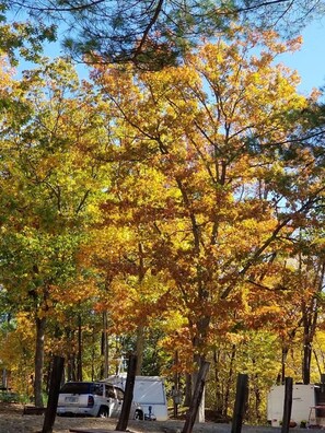 Property grounds - "Seacoast" at Keyser Pond Campground (Henniker)