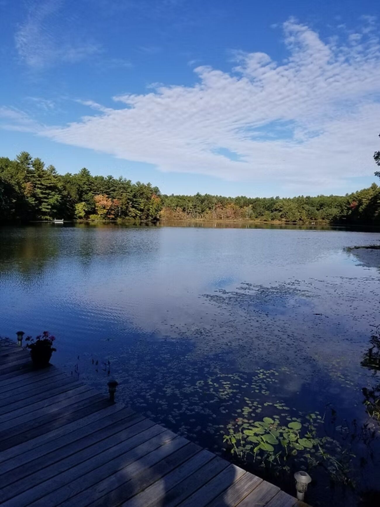 Un lago tranquilo con un muelle de madera y árboles circundantes.