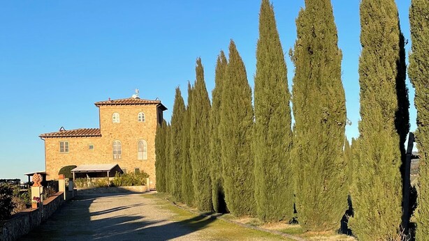 Un edificio de piedra con tejado de baldosas, rodeado de árboles altos y delgados.