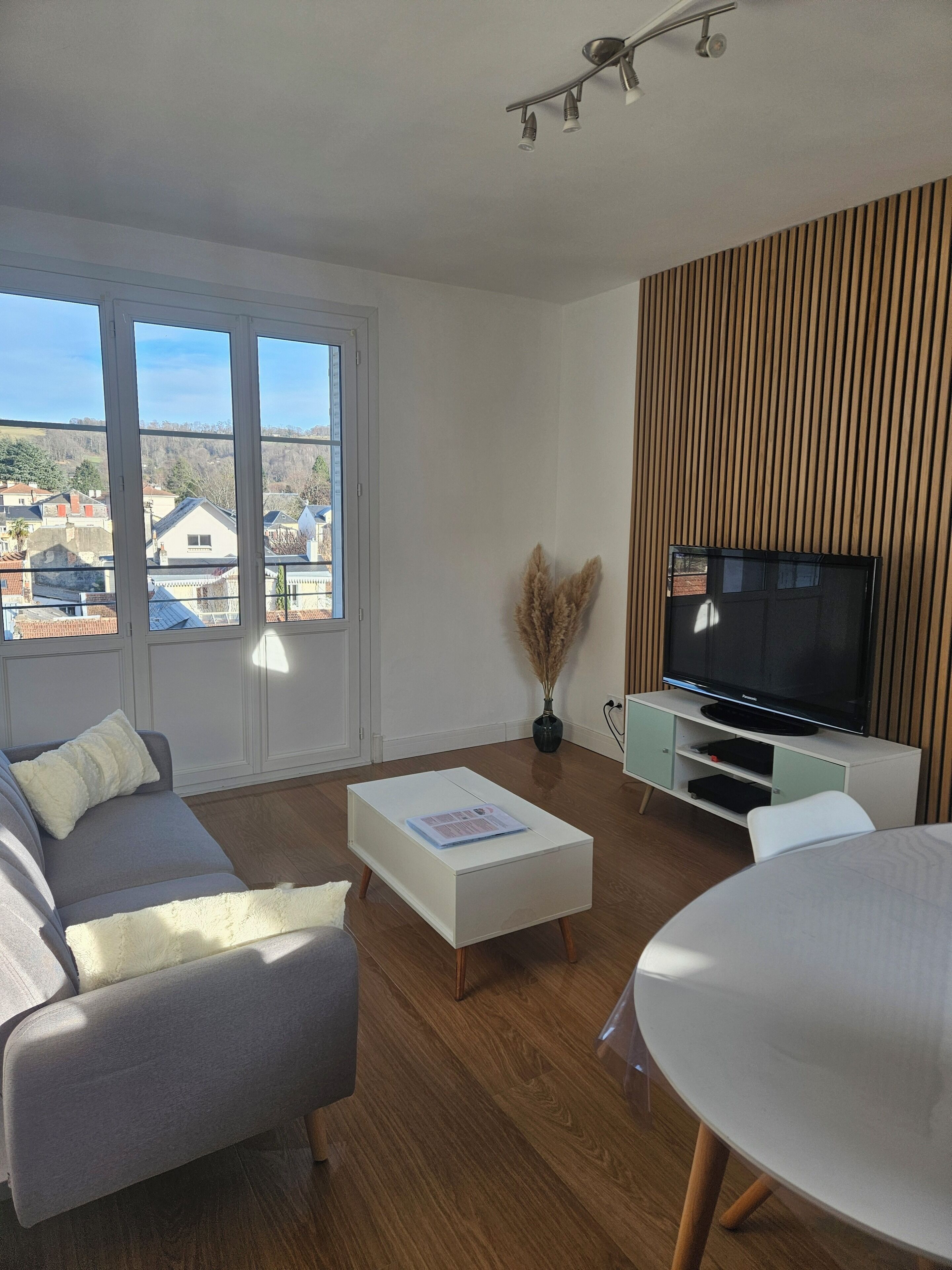 TV, DVD player, books