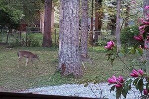 星評価なしの画像、2 / 20、ボタン