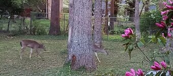 Nature in the City - play, work, study in seclusion! One Bedroom Queen and Sofa