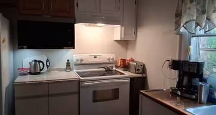 Nature in the City - play, work, study in seclusion! One Bedroom Queen and Sofa