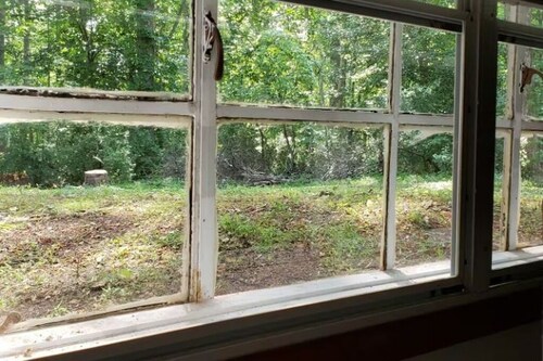 Nature in the City - play, work, study in seclusion! One Bedroom Queen and Sofa