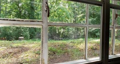 Nature in the City - play, work, study in seclusion! One Bedroom Queen and Sofa