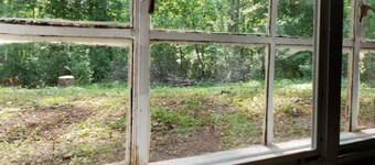 Nature in the City - play, work, study in seclusion! One Bedroom Queen and Sofa