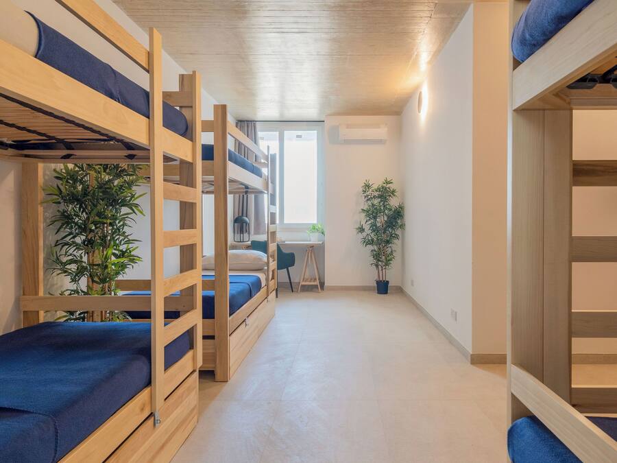A compact room with bunk beds, a desk, and potted plants.