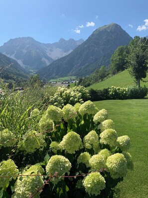 Ein üppiger Garten mit Hortensien im Vordergrund und einer Berglandschaft im Hintergrund.