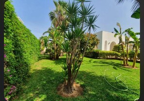 A well-maintained garden with a palm tree, a hedge, and a lawn. - La Baïa: Cozy (La soukra)