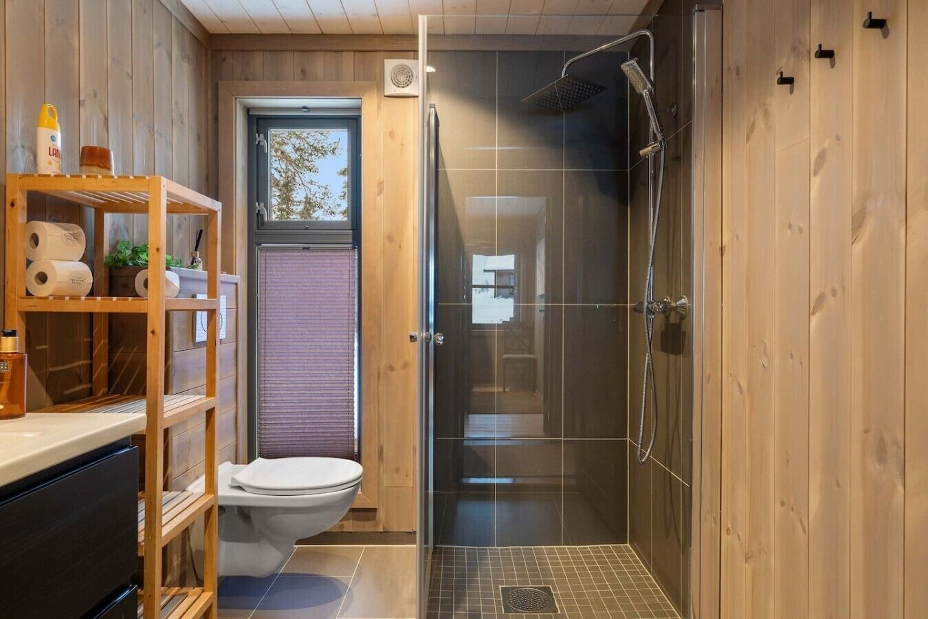 Shower, hair dryer