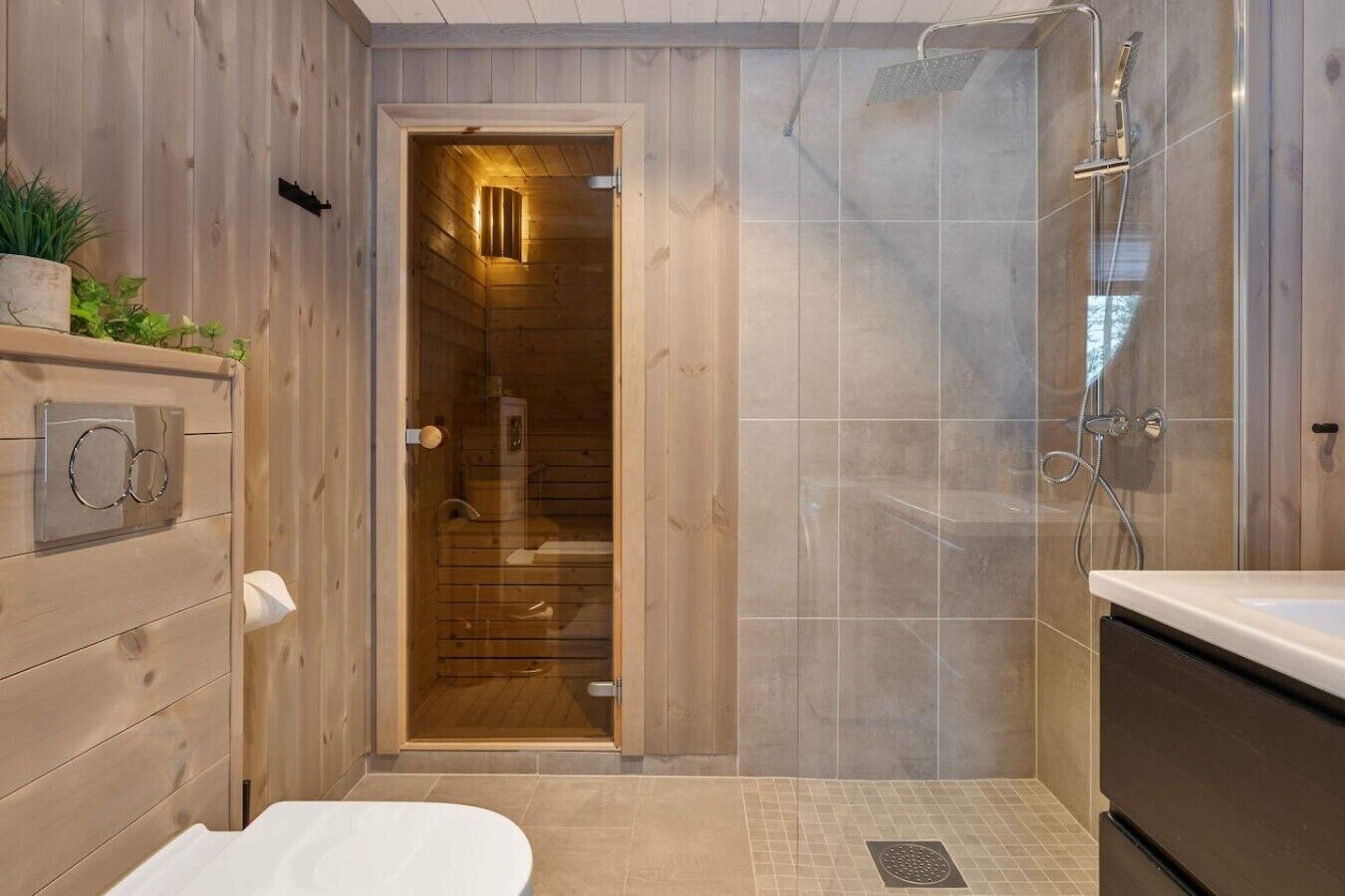 Shower, hair dryer