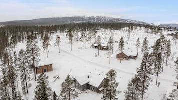 Eksteriør