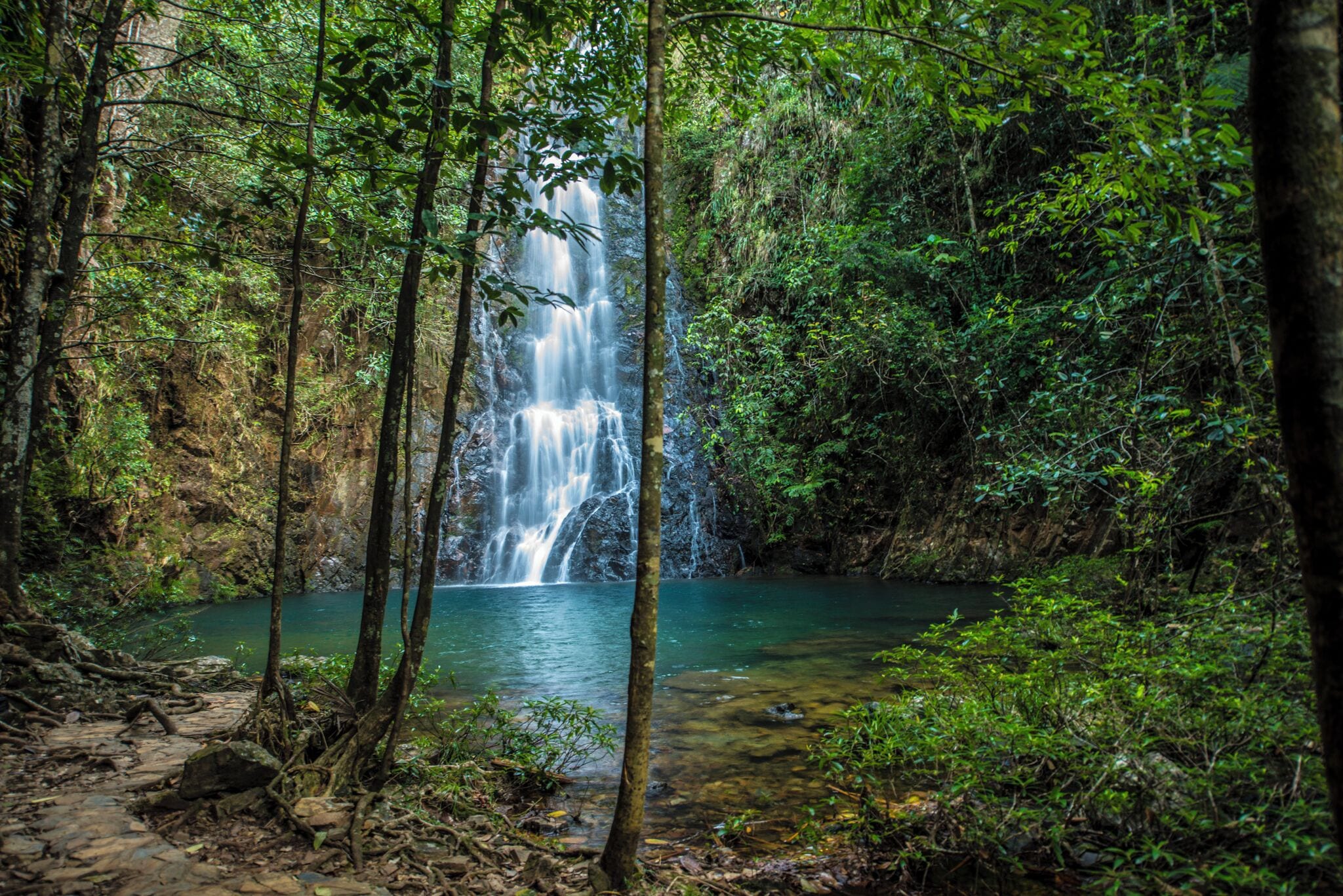 Una cascada rodeada de un bosque denso.