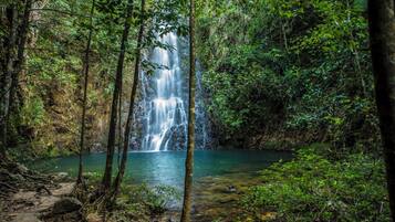 Una cascada rodeada de un bosque denso.