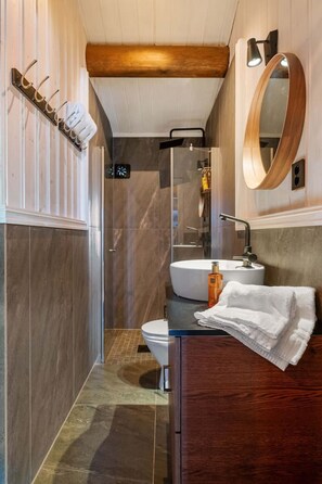 Shower, hair dryer, towels