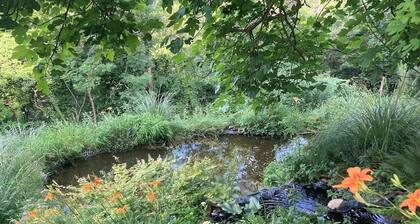 Authentic south-facing 3-bedroom farmhouse in the middle of the forest.