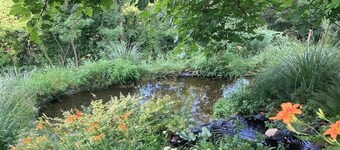 Authentic south-facing 3-bedroom farmhouse in the middle of the forest.