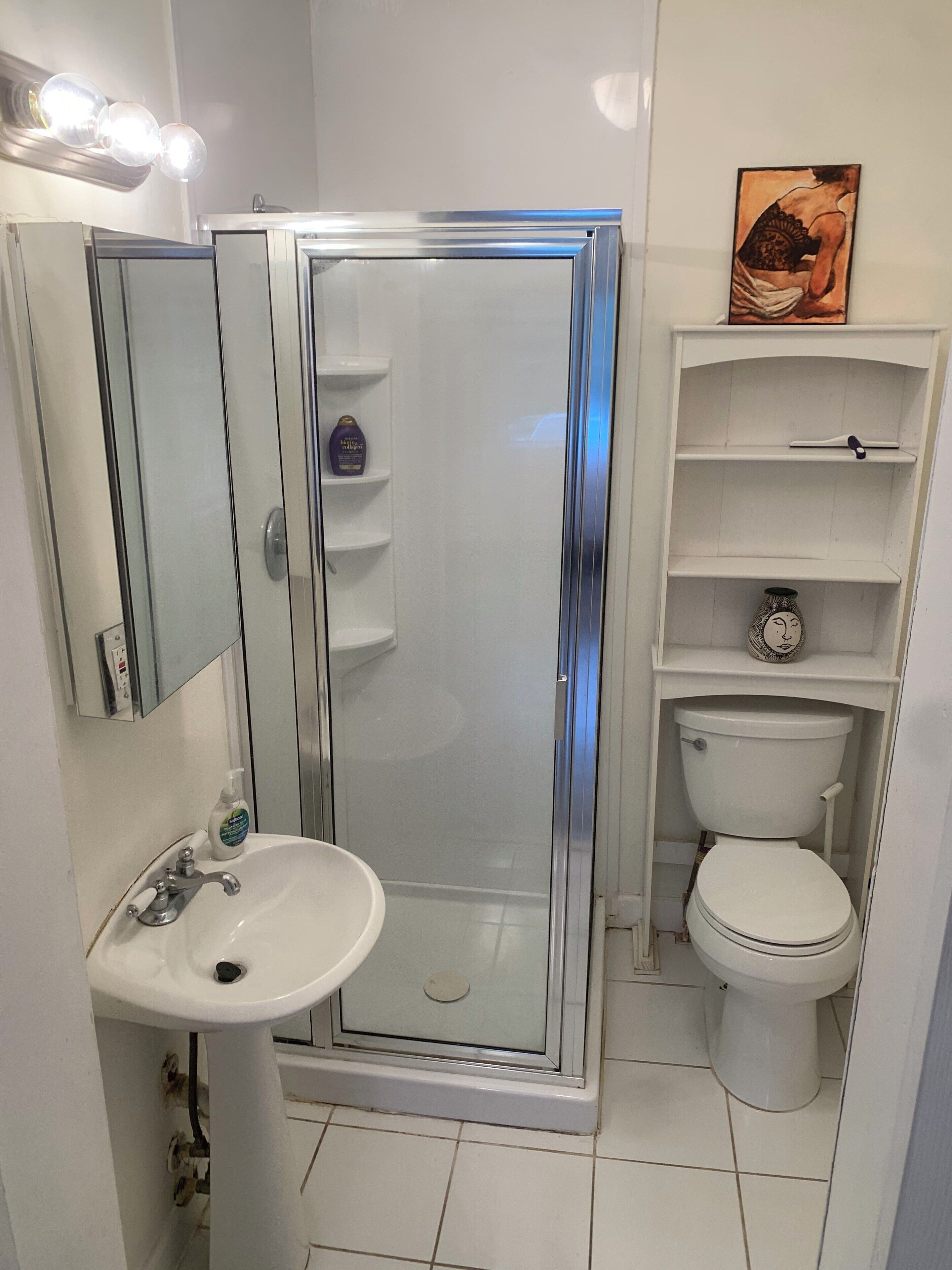 Une salle de bain avec une douche à parois de verre, un lavabo blanc, des toilettes et une étagère contenant des articles de toilette.