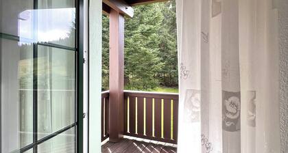 Cozy vacation apartment "Talblick" in Eibenstock, district Carlsfeld