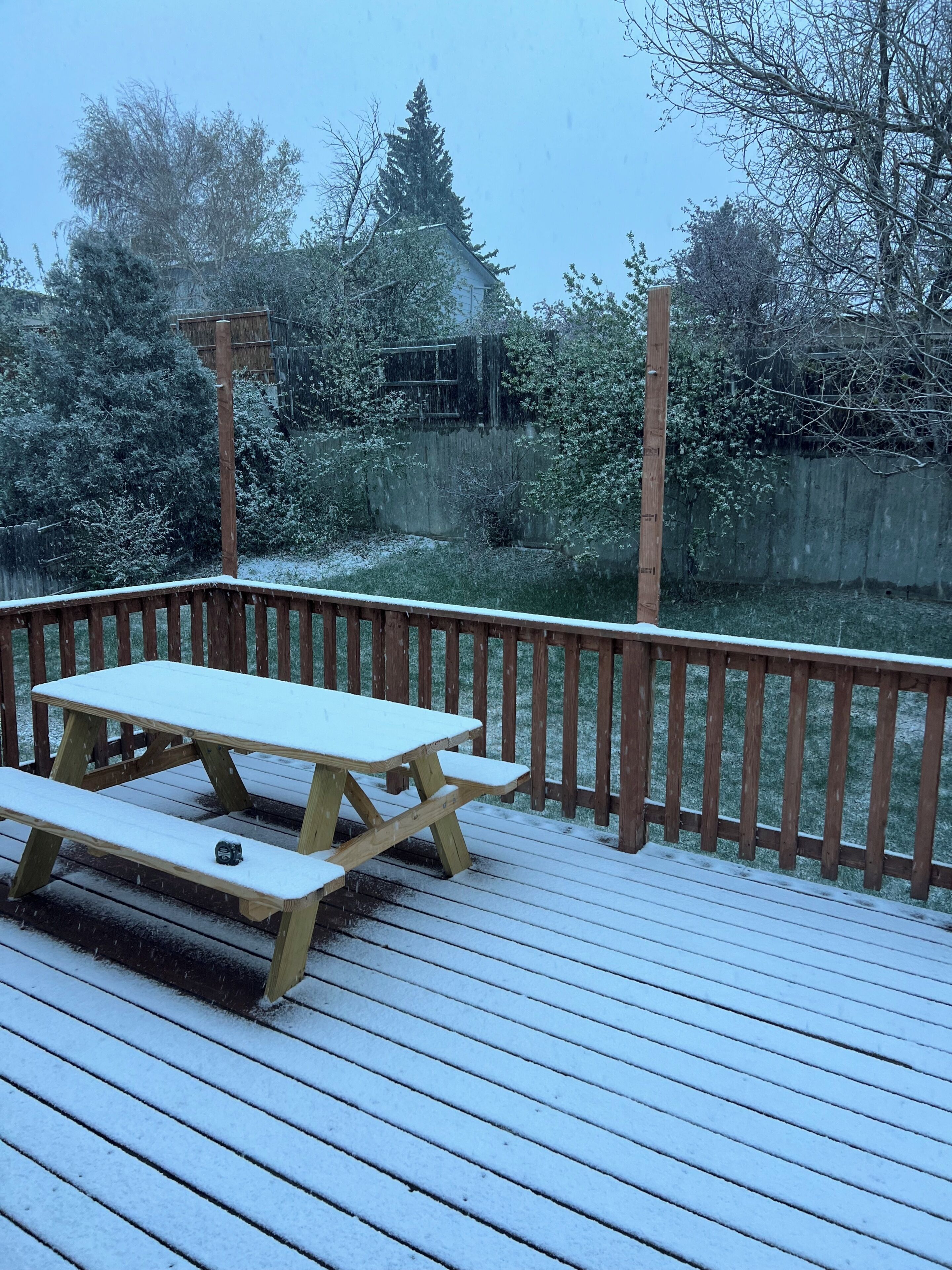 Servei de restauració a l'aire lliure