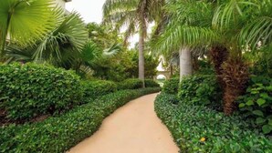 A pathway flanked by lush green hedges and palm trees, leading towards a building. - Stylish 1-bedroom condo in fabulous Leeward Settlement. Sleeps 4 (Leeward Settlement)