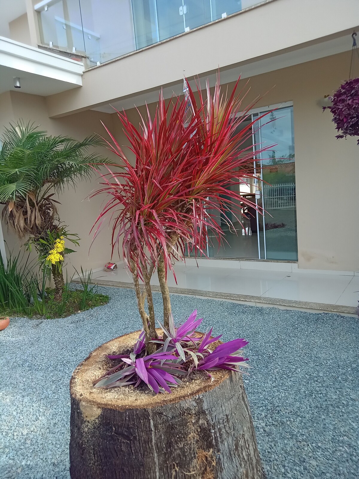 Imagen de perfil del propietario o de la propietaria