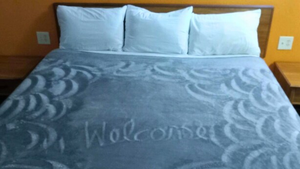 A bed with a blue blanket and pillows, a wooden headboard, and a nightstand with a lamp.