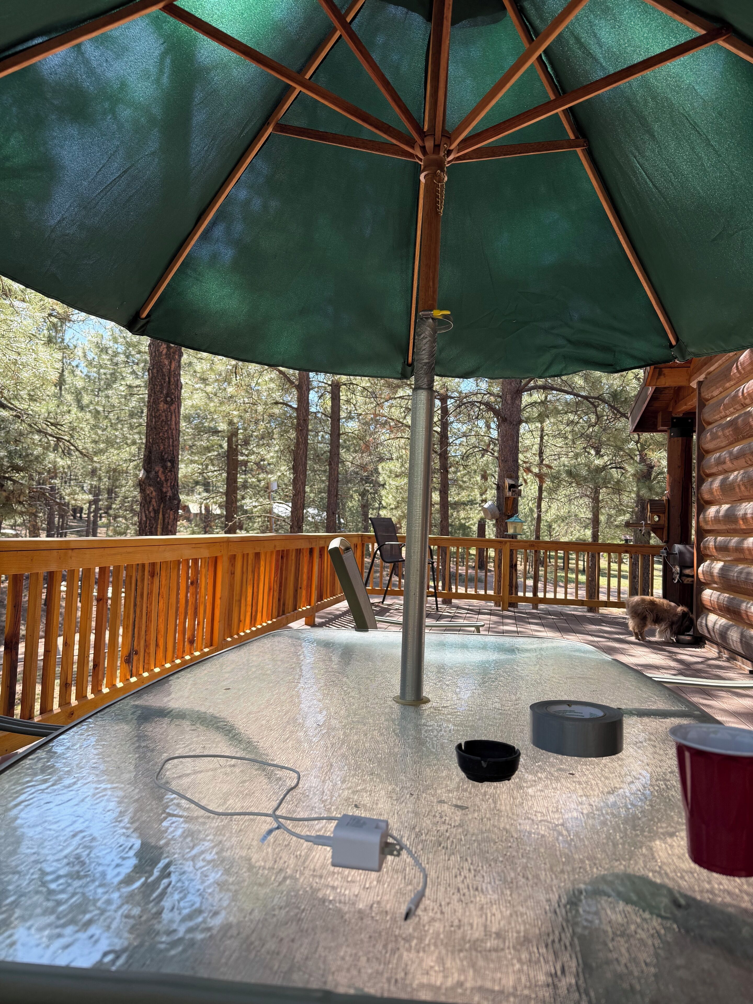 Enceinte de l’hébergement