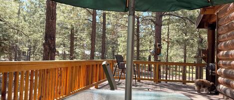 Enceinte de l’hébergement