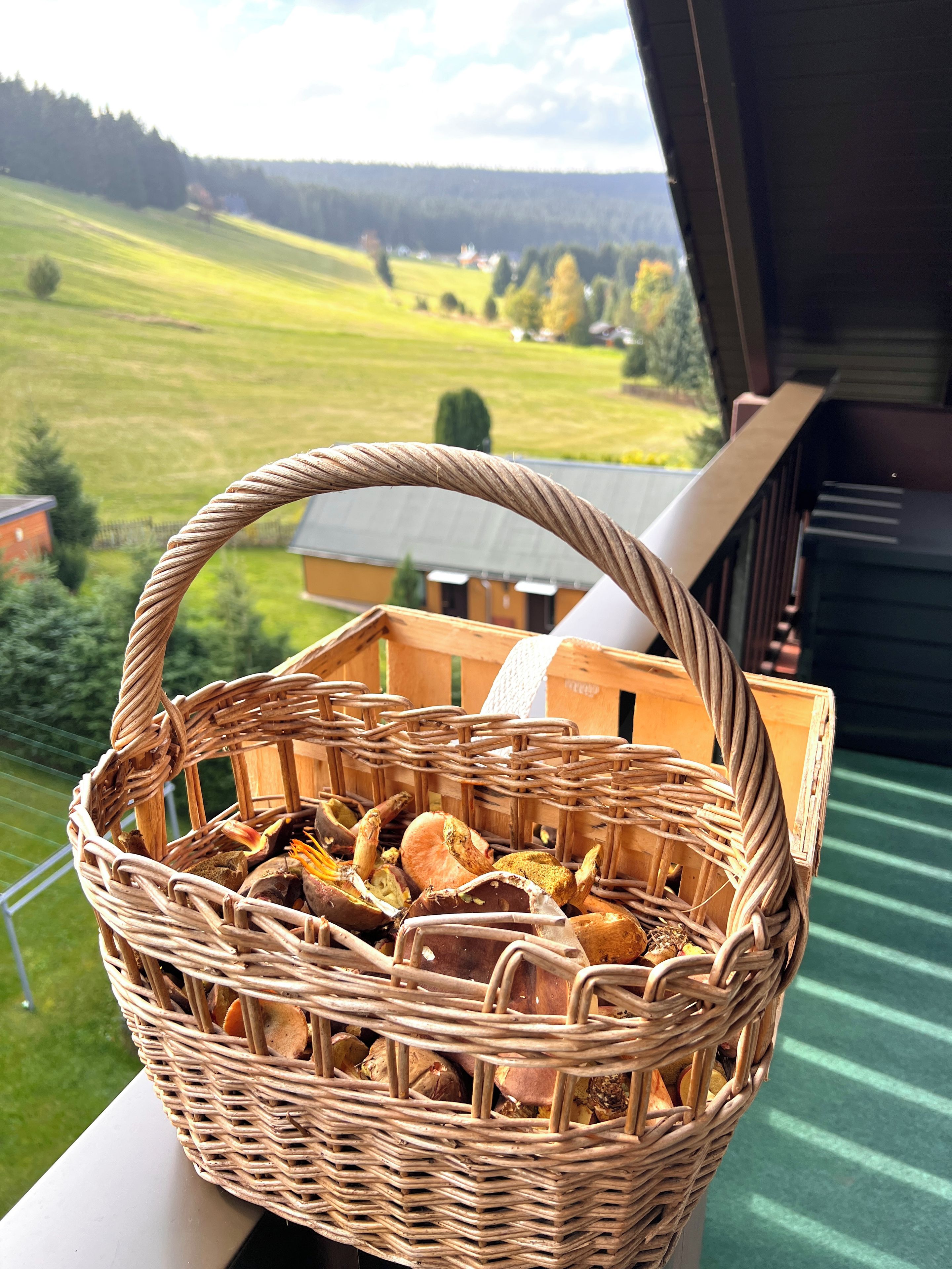 A wicker basket filled with bread on a balcony overlooking a green landscape.