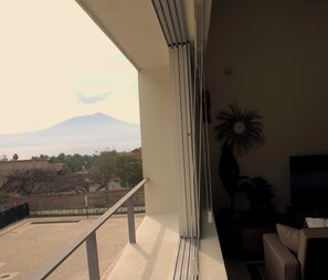 Terras