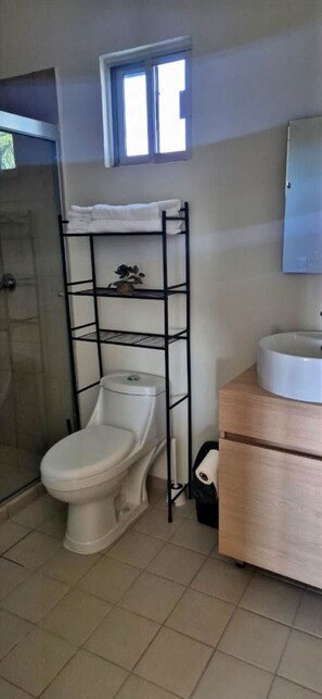 Regadera, secadora de cabello, toallas, jabón 