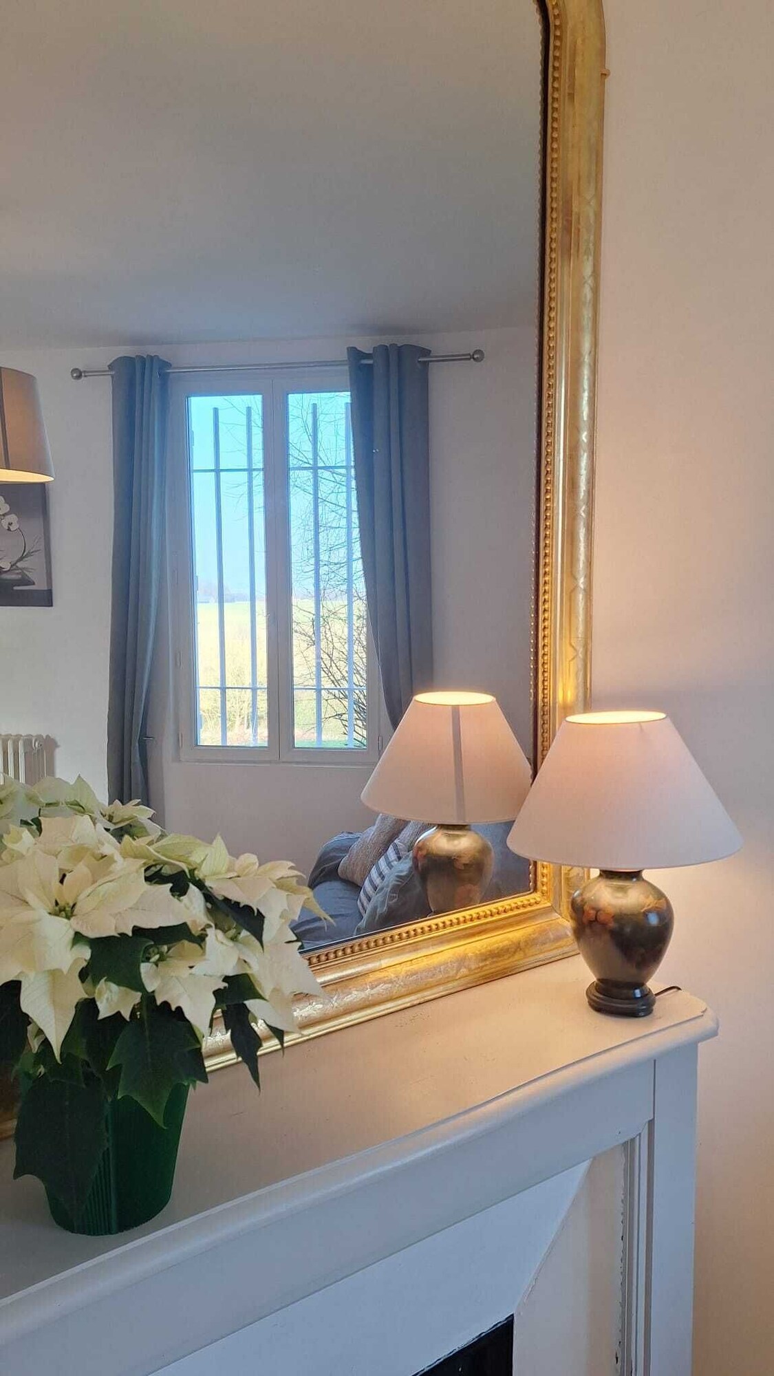 Imagen de perfil del propietario o de la propietaria