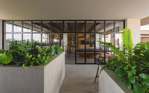 Interior - Valarte-Charming 2-bedroom apartment in Versalles (Puerto Vallarta)