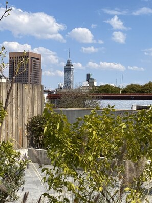 Property grounds - A hidden pearl in the middle of the city (Ciudad de México)