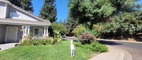 Terrein van de accommodatie