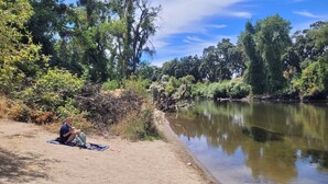 Une personne assise sur une couverture au bord d’une rivière, entourée d’une végétation luxuriante et d’arbres.
