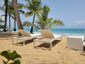 Een strand met witte rieten ligstoelen en palmbomen.