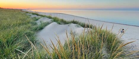 Camastros y toallas de playa