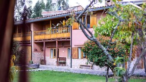 Immagine non classificata, 4 di 46, pulsante