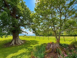 Property grounds - PETIT BONNEVIGNE - LYS (LYS)